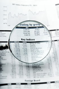 抚顺同志供卵选性别：nt值偏高风险大吗下一步检查什么？